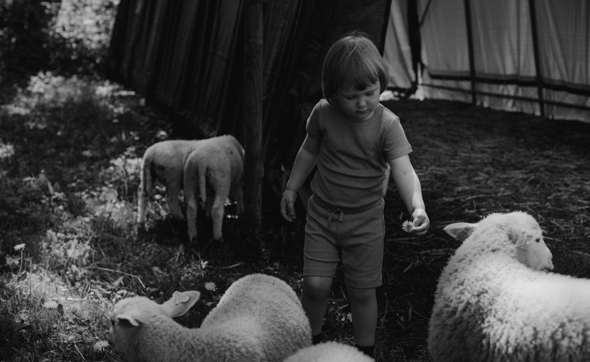 kristina fagerdal bli kjent fotograf sørlandet kristiansand 2 4